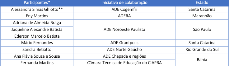 Rede de Colaboração constitui Comitê de Imagem 